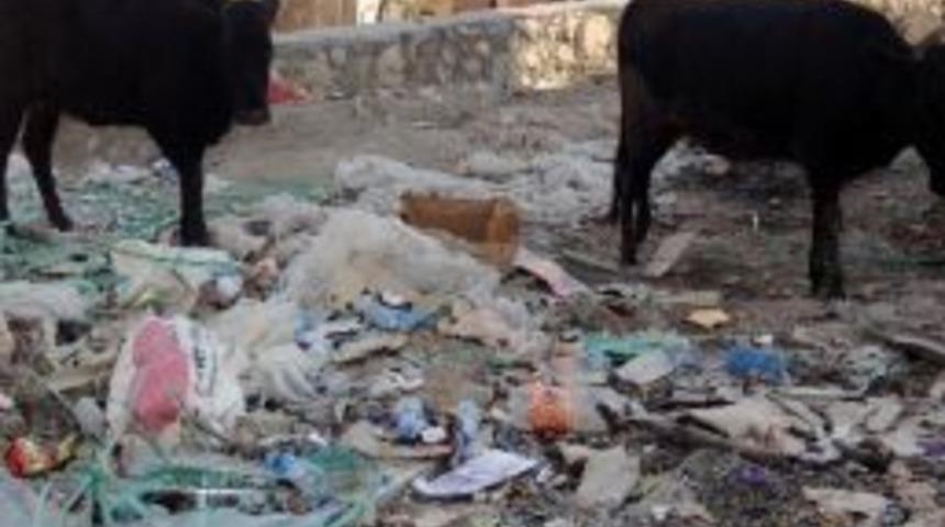 Silvan'da Vatandaşların &Ccedil;&ouml;p Tepkisi