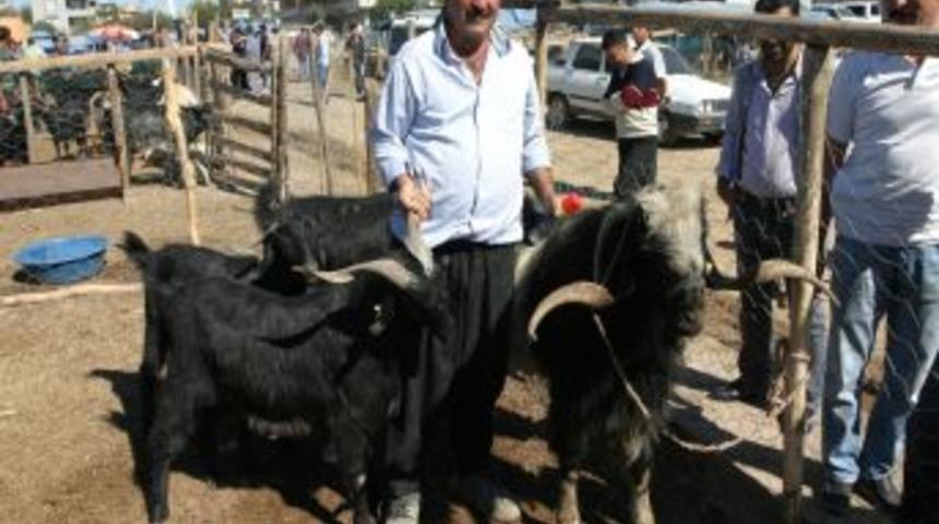 125 Kiloluk Ke&ccedil;iyi Pazarın Ilk G&uuml;n&uuml; Sattı!