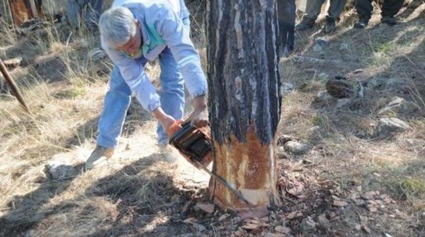 Ormancılardan &Uuml;retim Ve Sıklık Tatbikatı