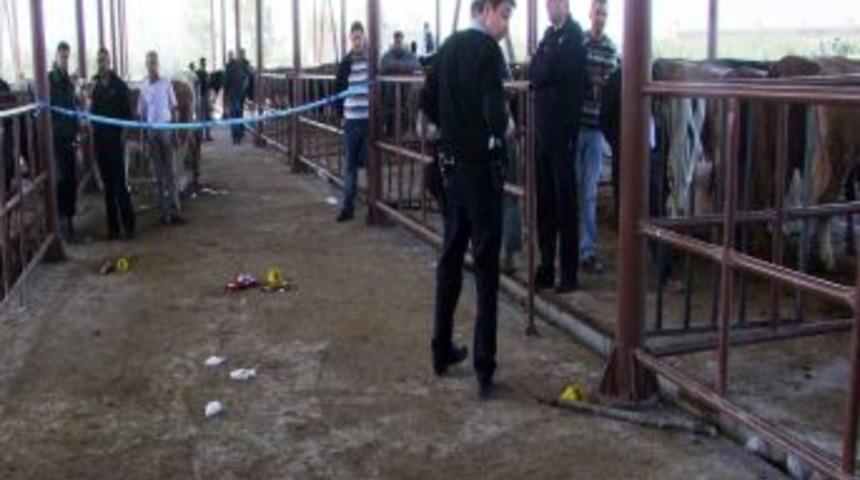 Kurban Pazarında Hayvan Bağlama Kavgası: 4 Yaralı