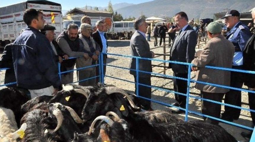 Akşehir’de Bölgenin En Büyük Hayvan Pazarı Hizmete Başladı