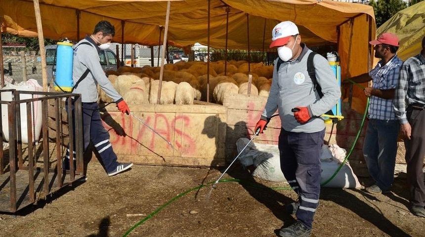 B&uuml;y&uuml;kşehir Kurban Satış Noktalarını Ila&ccedil;lıyor