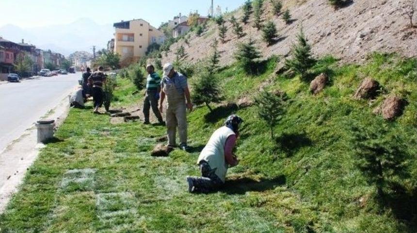 Bir G&uuml;nde &Ccedil;imlendirilmiş Yeşil Alanlar