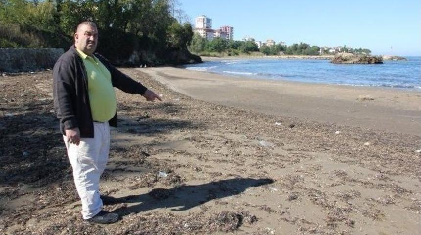 Fatsa'da Deniz 30 Metre &Ccedil;ekildi