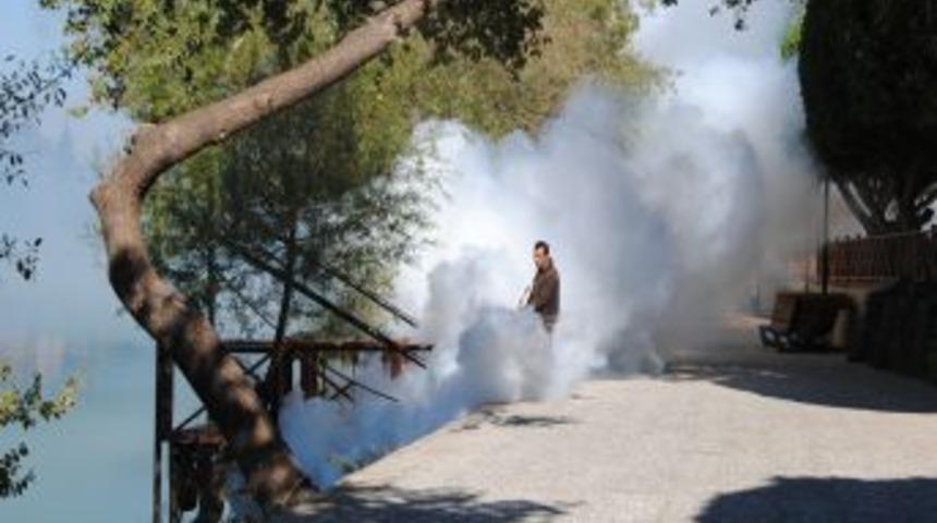 Bayram &Ouml;ncesi Manavgat'ta Ila&ccedil;lama &Ccedil;alışması Yapılıyor