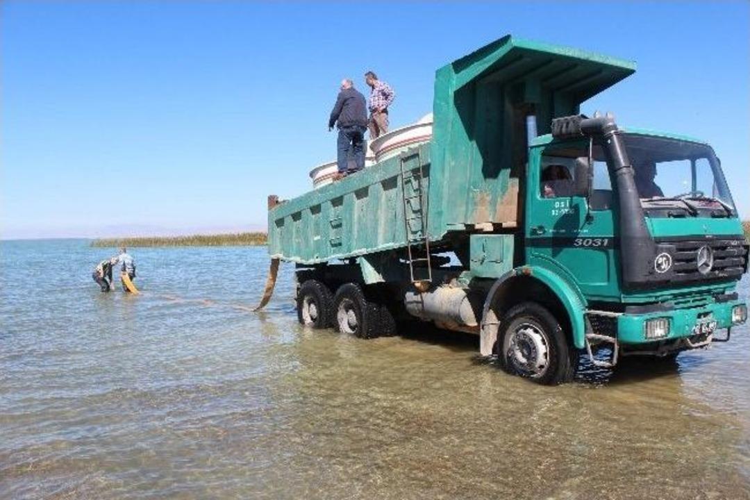Beyşehir G&ouml;l&uuml; Eski G&uuml;nlerine D&ouml;n&uuml;yor