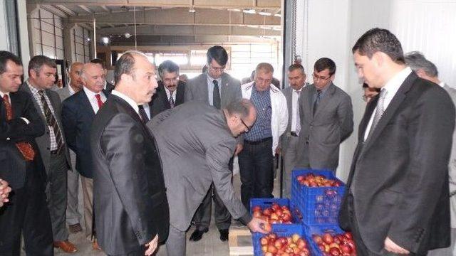 Babasının 50 Yıl &Ouml;nceki Hayalini Ger&ccedil;ekleştirdi 1