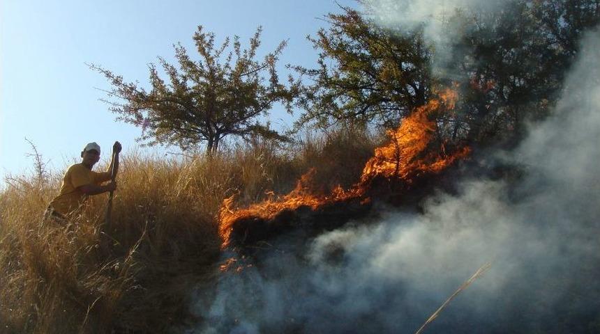 Aydın'da 15 Hektar Tarım Arazisi Yandı