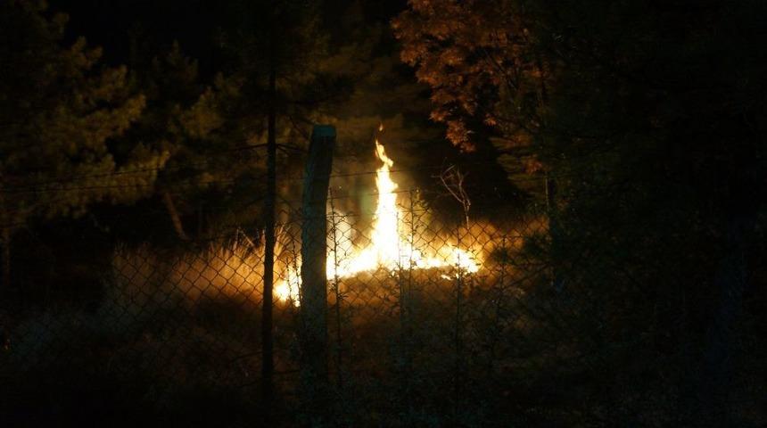 ODT&Uuml;'deki &Ccedil;atışma Sırasında Ağa&ccedil;lar Alev Alev Yandı