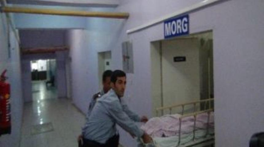 Mardin Nusaybin'de trafik kazası, 3 &ouml;l&uuml;