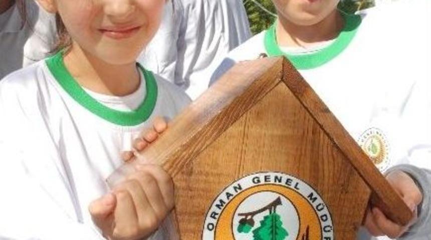 Silifke&rsquo;de Kuşların 4 Bin Adet Yuvası Oldu