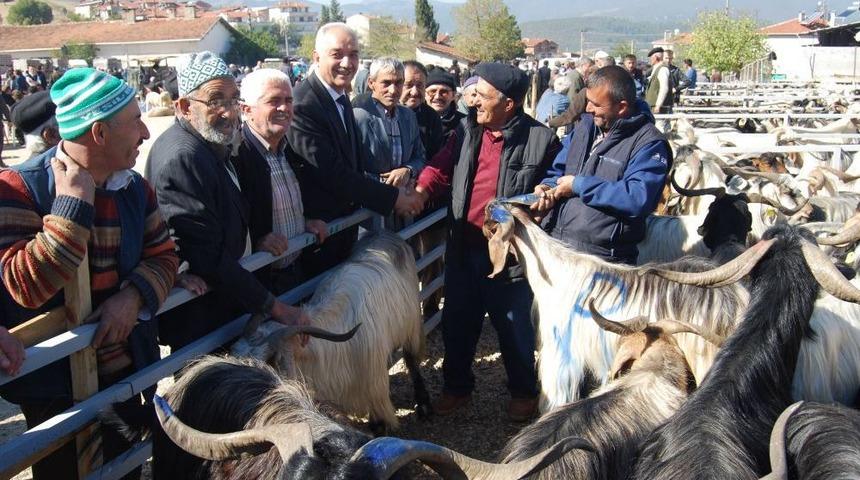 Başkan Tatlıoğlu, Hayvan Pazarını Gezdi.