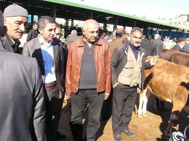 Chp Yöneticileri Hayvan Pazarı’nda Sorun Dinledi 1
