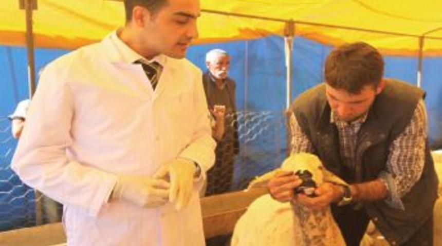 Seyhan Belediyesi&rsquo;nden &lsquo;sağlıklı Kurban Se&ccedil;menin&rsquo; P&uuml;f Noktaları