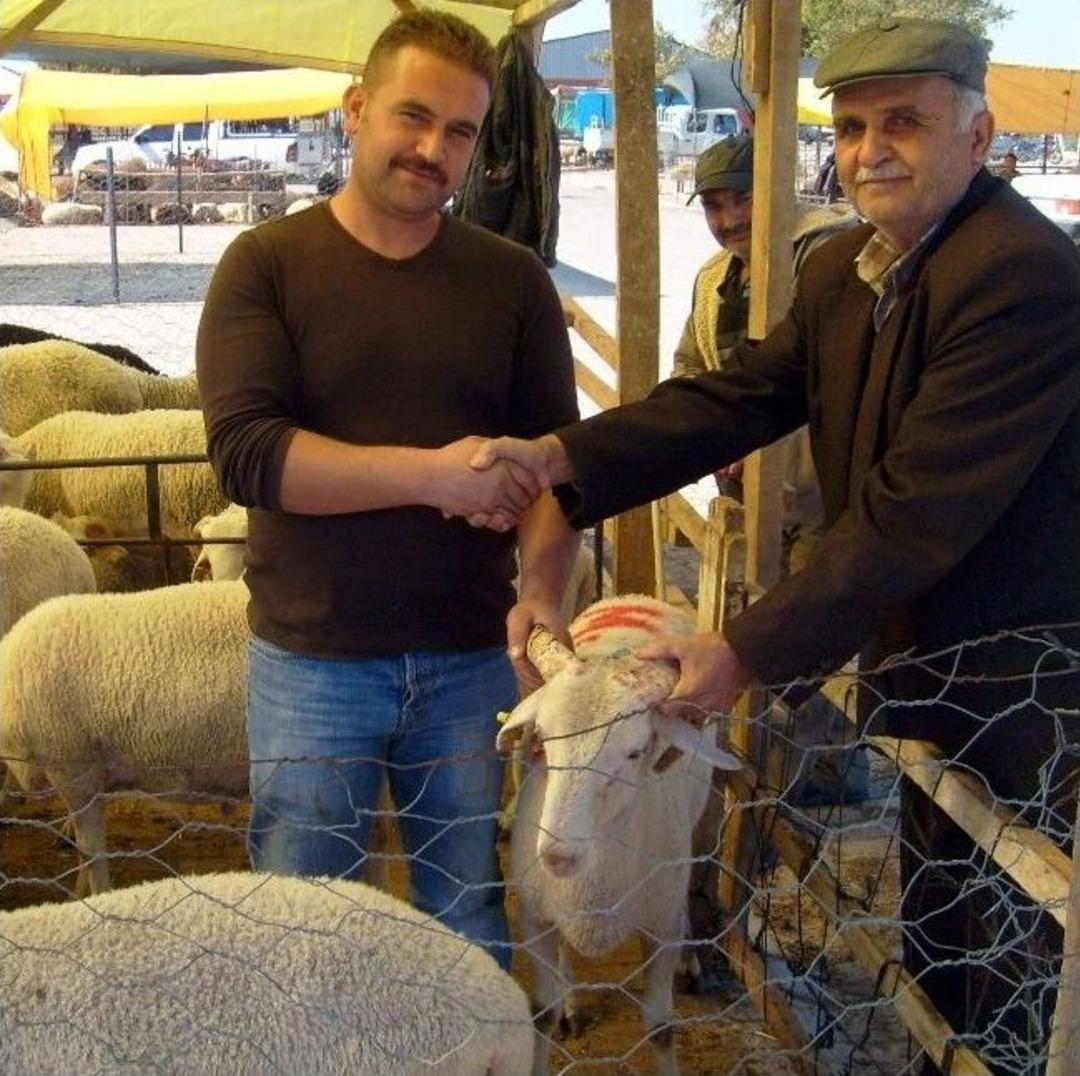 Kurban Pazarında Yaprak Kımıldamıyor