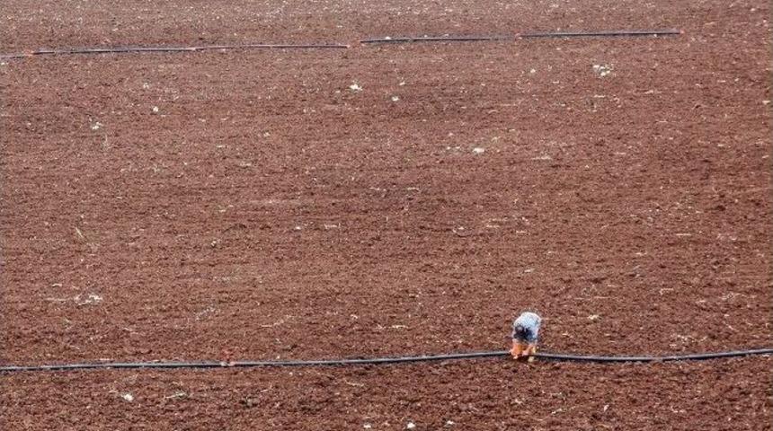 Adana&rsquo;da 3 Bin Dekarda &lsquo;hassas Tarım&rsquo; Uygulanacak