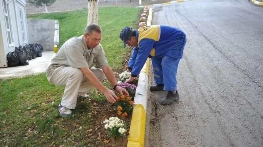 Boz&uuml;y&uuml;k İl&ccedil;e Mezarlığında Kurban Bayramı Hazırlıkları
