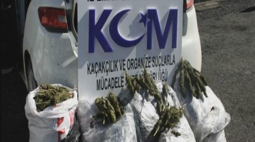 Kars&rsquo;ta 44 Kilo Esrar Ele Ge&ccedil;irildi