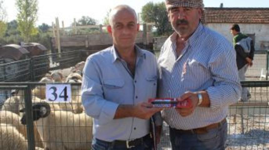 Seferihisar Kurbanlık Pazarı'nda Satıcılara Para Dedekt&ouml;r&uuml; Dağıtıldı