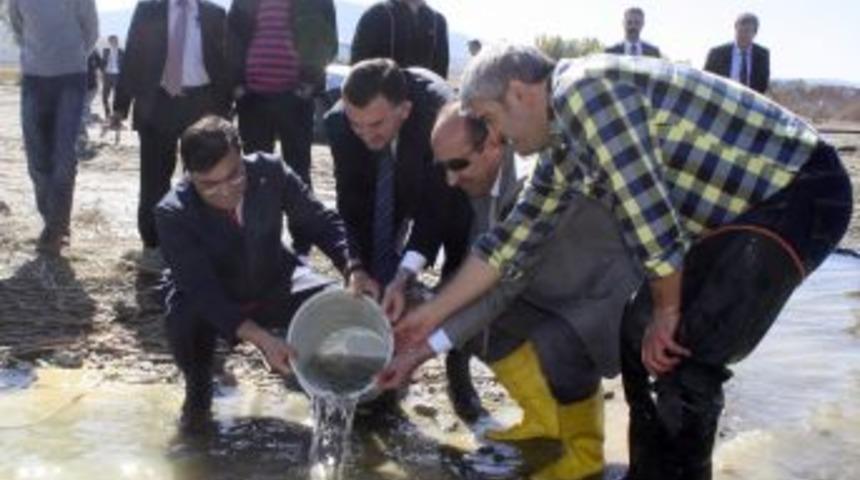 Beyşehir G&ouml;l&uuml;'n&uuml; Ele Ge&ccedil;iren 'İsrail Sazanı'na Operasyon Başlatıldı