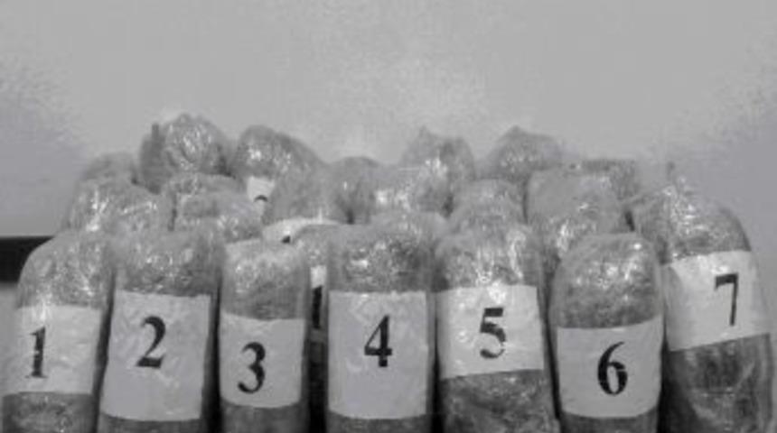 Kahramanmaraş&rsquo;ta 65 Kilo Esrar Ele Ge&ccedil;irildi