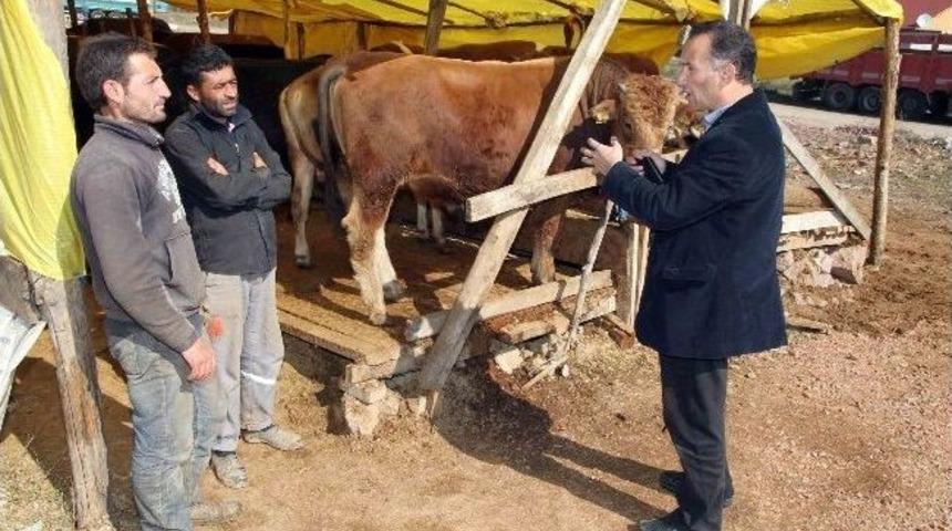 Kurban Satış Yerleri İla&ccedil;lanıyor