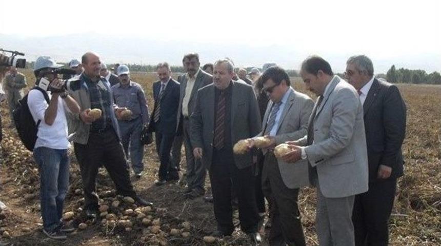 Patateste Tarla G&uuml;n&uuml; D&uuml;zenlendi