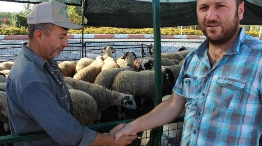 Kurban Satışında Sahte Paraya Dedekt&ouml;r İle &Ouml;nlem