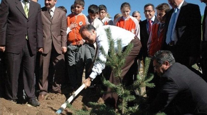 Aziziye Tabyalarında 120 Bin Fidan Dikildi
