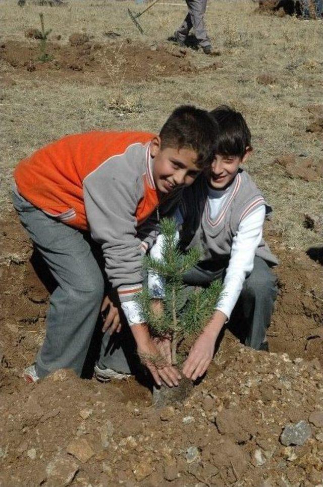 Aziziye Tabyalarında 120 Bin Fidan Dikildi 1