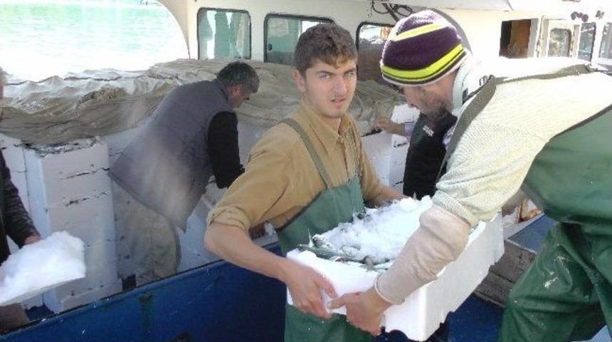 Ak&ccedil;akoca'da Balık&ccedil;ıların Ekonomiye Etkileri