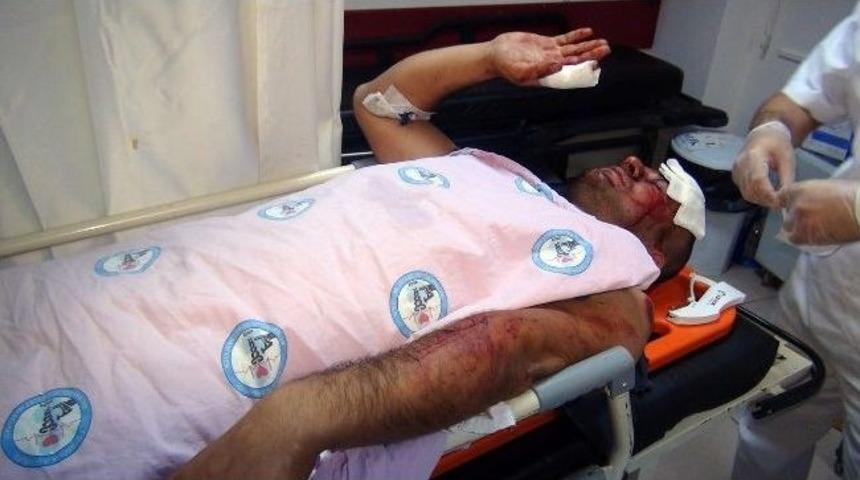 Yola &Ccedil;ıkan İnek Kazaya Neden Oldu