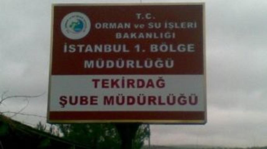 Uzun, Tekirdağ&rsquo;daki Ağa&ccedil;landırma &Ccedil;alışmalarını Değerlendirdi