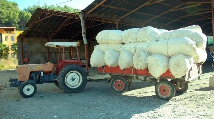 Beyaz Altın Tarih Oluyor