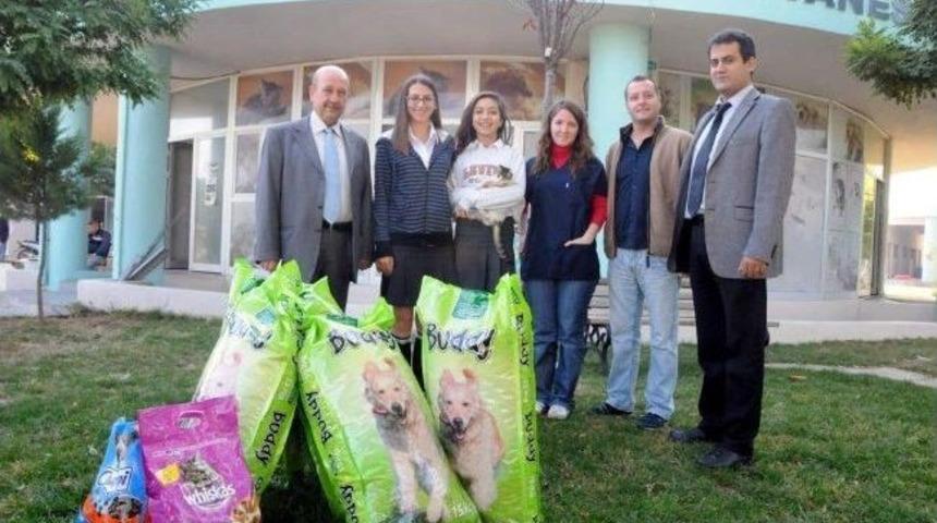 &Ouml;ğrenciler Topladıkları Parayla Hayvanlara Yardım Ettiler