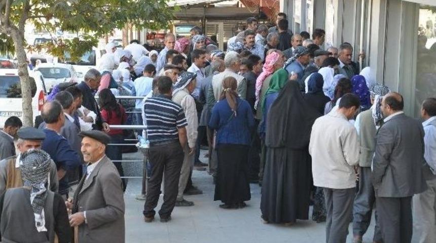 Şırnak'ta Sosyal Yardımlaşma İzdihamı