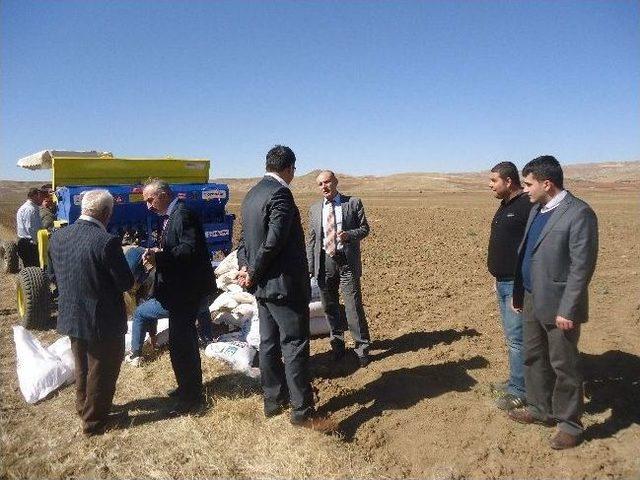 Kırıkkale de Korumalı Tarım Projesi Uygulamaya Konuldu 1