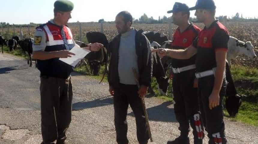 Jandarmadan Hayvan Besicilerine Kurban Bayramı Uyarıları