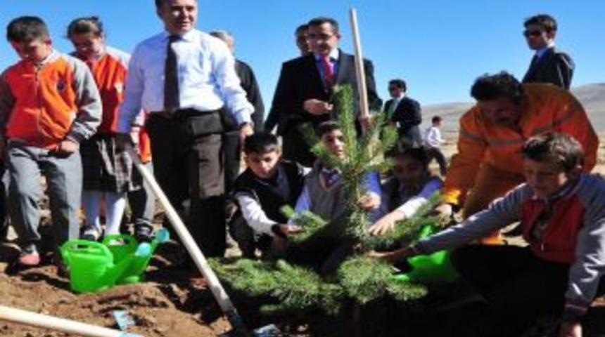 Nene Hatun'un Kahramanlaştığı Tabyalara Fidan Dikildi