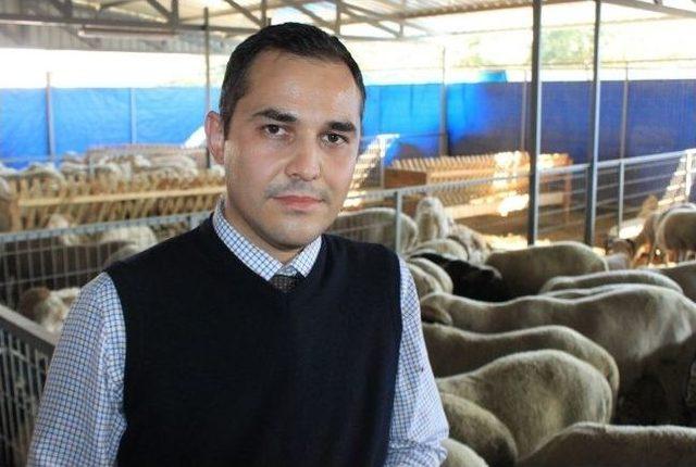 10 Taksitle Kurbanlık 2