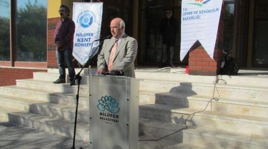 Yeşil Nil&uuml;fer Haftası Başladı