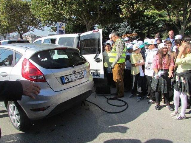 Yeşil Nilüfer Haftası Başladı