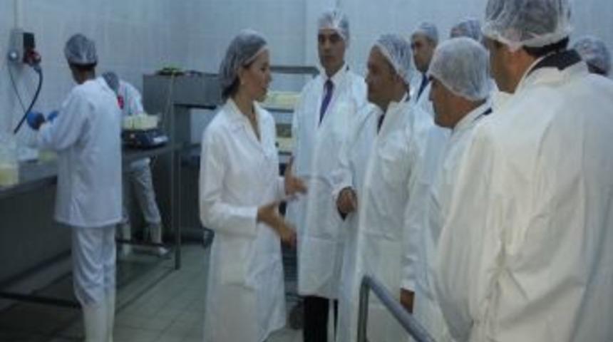 Fo&ccedil;a A&ccedil;ık Ceza İnfaz Kurumu S&uuml;t Işleme Tesisi Kurdu