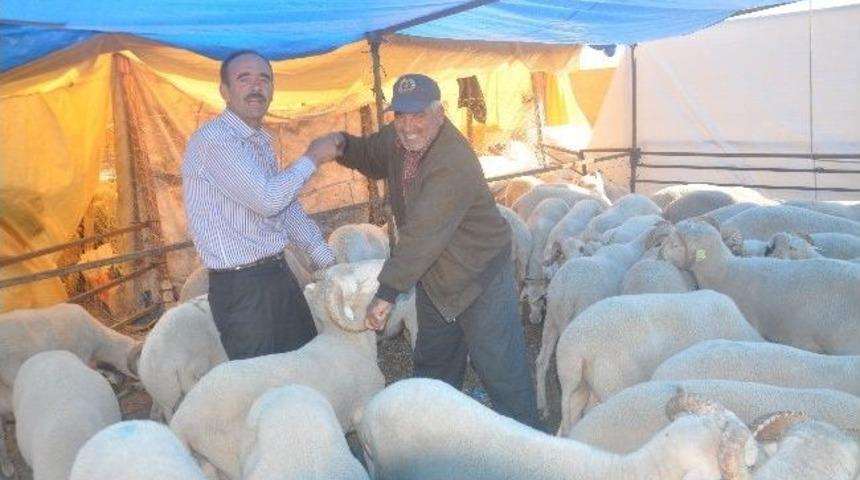 Torbalı&rsquo;daki Kurban Pazarında Yoğunluk Artıyor