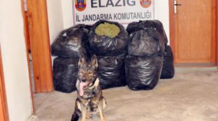 Jandarma’dan şok şafak baskını