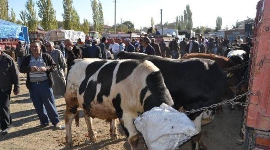 Kulu&rsquo;da Kurbanlıklar Alıcılarını Bekliyor