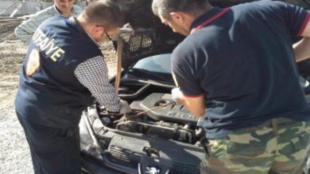 Yılan Giren Arabasına Itfaiyenin Yardımıyla Binebildi