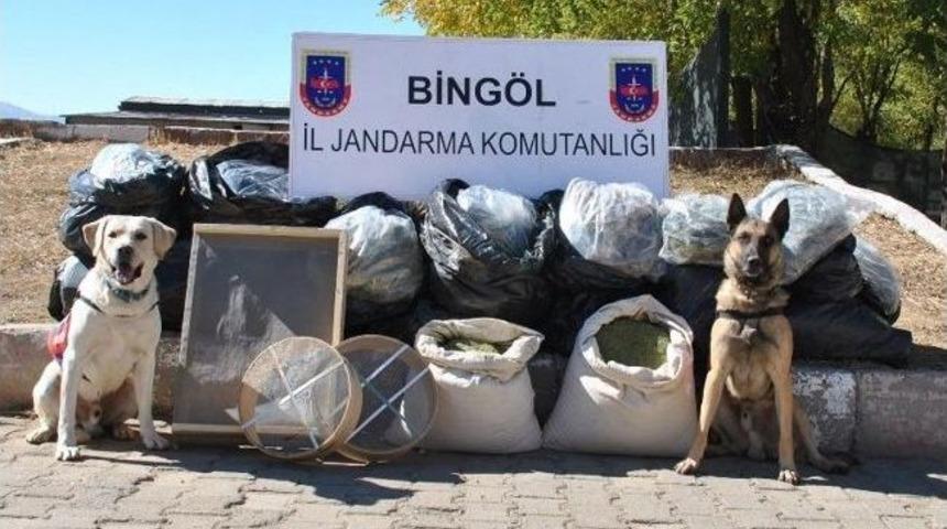 Bing&ouml;l&rsquo;de 76 Kilo Esrar Yakalandı