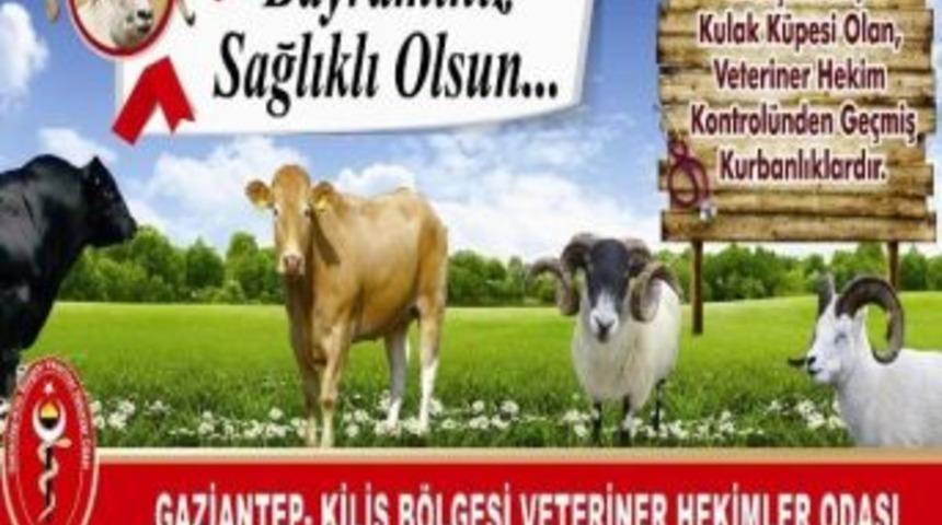 Veteriner Hekimleri Odası, Kurban Bayramı &Ouml;ncesi Uyardı