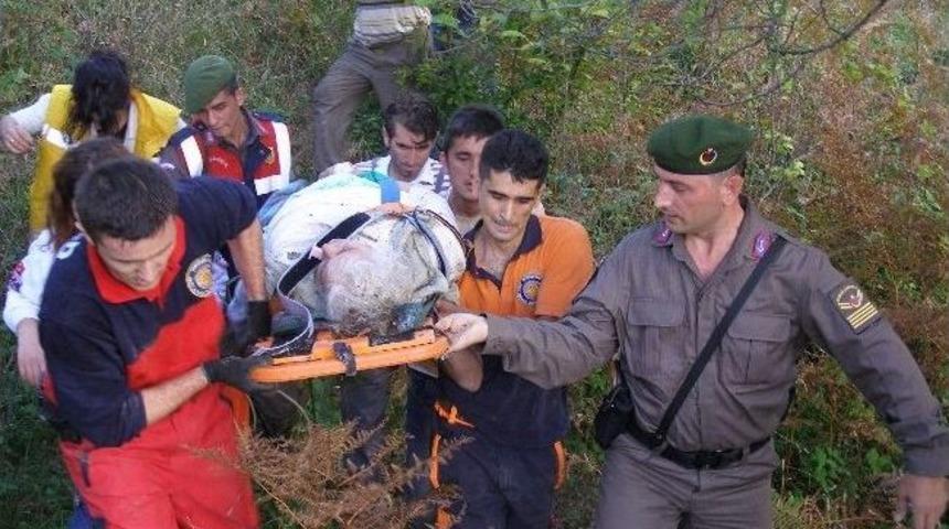 Dağda Kestane Toplayan Kadın D&ouml;rt Saat Mahsur Kaldı